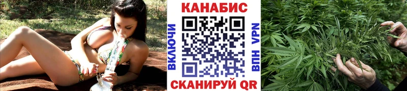 Бошки марихуана MAZAR  как найти   дарк нет телеграм  Томилино 